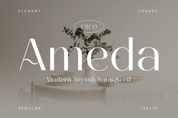 Ameda: A Sophisticated Sans Serif Typeface for Modern Brands