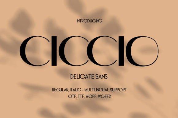 Ciccio: A Modern Sans Serif Font for Branding